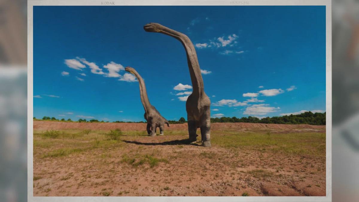 'Video thumbnail for How Much Are Fossils Worth in Real Life?'